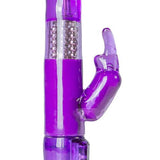 Rabbit Vibrator - Paars - PlayForFun