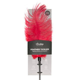 Rode veren kietelaar - PlayForFun