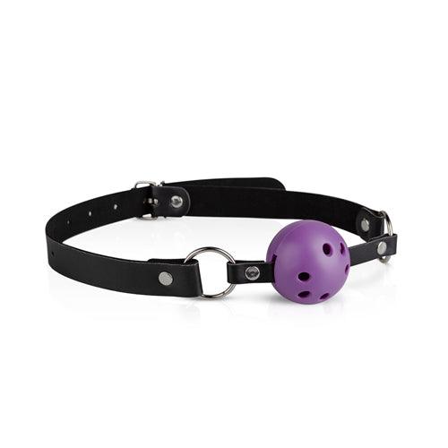 Secret Pleasure Chest - Purple Apprentice - PlayForFun Secret Pleasure Chest - Purple Apprentice - PlayForFun