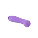 Wellness - G Ball Vibrator - Paars - PlayForFun