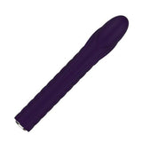 Nalone Dixie Vibrator - Paars - PlayForFun